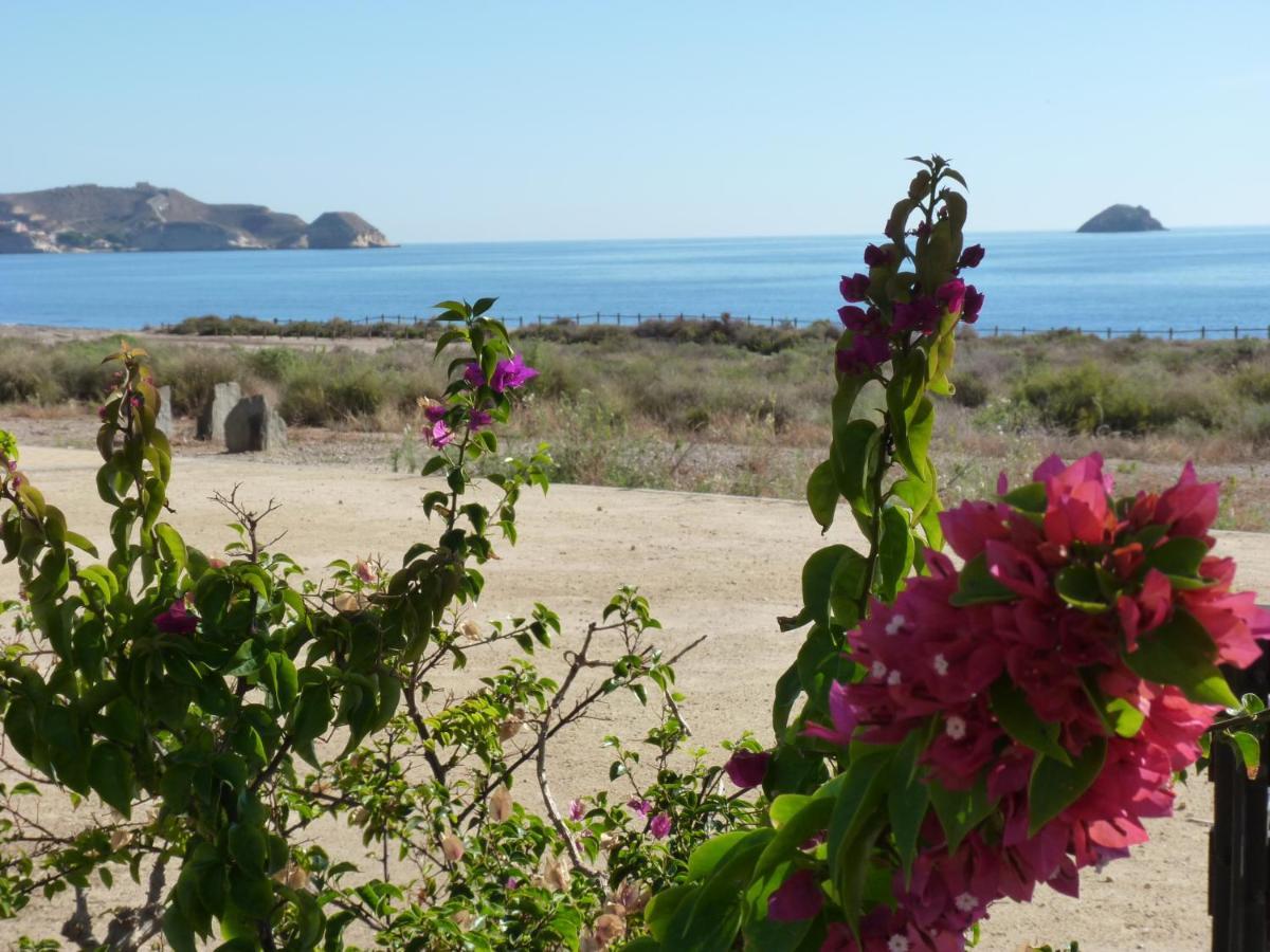 San Juan de los Terreros Las Azaleas מראה חיצוני תמונה
